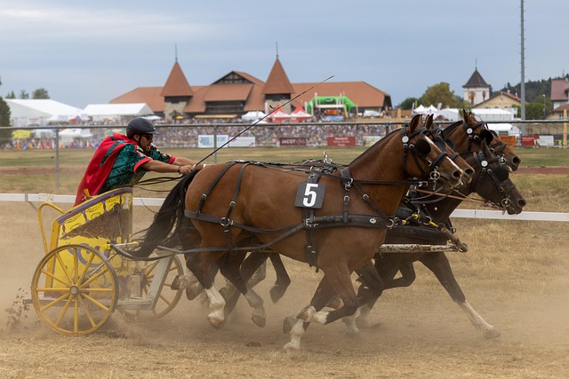 都备受关注 都备受关注
